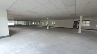 Office to Let At Ballywoods Office Park In Bryanston