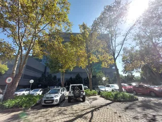 119 sqm Office to let in Bedfordview