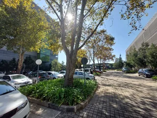 119 sqm Office to let in Bedfordview