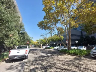 365 sqm office to Let in Bedfordview