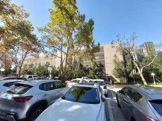 365 sqm office to Let in Bedfordview