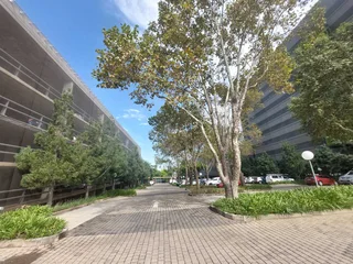 365 sqm office to Let in Bedfordview