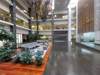 365 sqm office to Let in Bedfordview