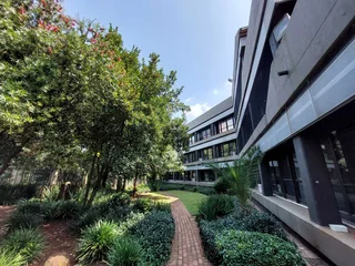 283 sqm Office to Let in Bedfordview