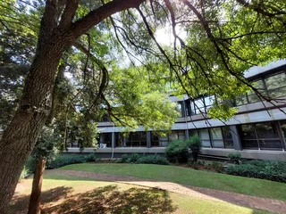 283 sqm Office to Let in Bedfordview