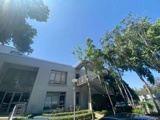 Modern Office Space to Rent , Illovo, Johannesburg