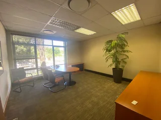 Modern Office Space to Rent , Illovo, Johannesburg