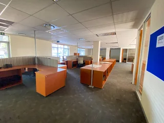 Modern Office Space to Rent , Illovo, Johannesburg