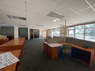 Modern Office Space to Rent , Illovo, Johannesburg