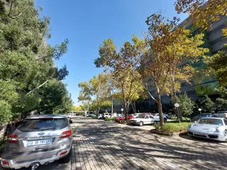 882 sqm Office to Let in Bedfordview