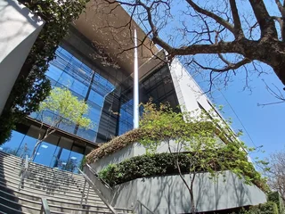 1638 sqm Office to Let in Rosebank