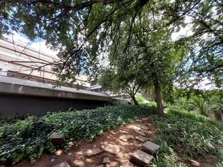 618 sqm Office to Let in Bedfordview