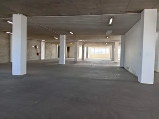 1260m² Warehouse To Rent, Wynberg