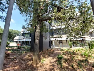 320 sqm Office to Let in Bedfordview