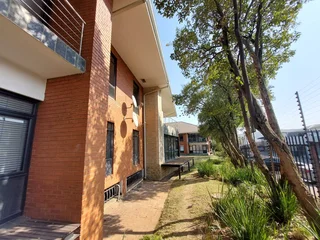 Entire Ground Floor to Let in Bedfordview