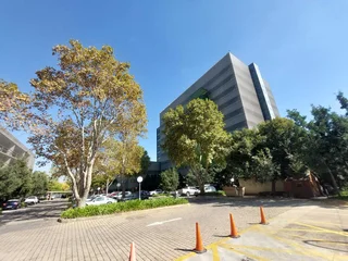 238 sqm office to Let in Bedfordview