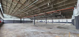 Fully Sprinklered Warehouse Available In Elsies River Industrial