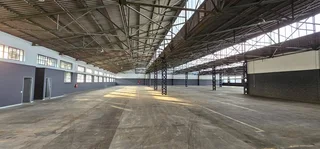 Fully Sprinklered Warehouse Available In Elsies River Industrial