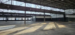 Fully Sprinklered Warehouse Available In Elsies River Industrial