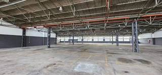 Fully Sprinklered Warehouse Available In Elsies River Industrial