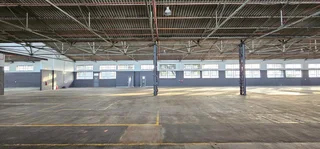Fully Sprinklered Warehouse Available In Elsies River Industrial