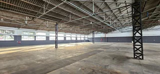 Fully Sprinklered Warehouse Available In Elsies River Industrial