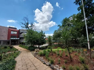 456 sqm Office to Let in Bedfordview