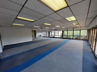 456 sqm Office to Let in Bedfordview