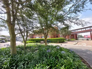 430 sqm Office to Let in Bedfordview