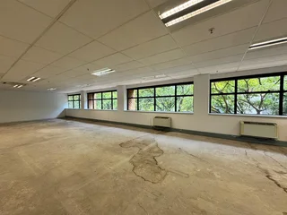 1165 sqm Office to Let in Sandton