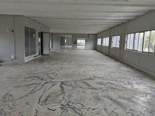 Warehouse To Rent, Wynberg