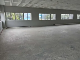 Warehouse To Rent, Wynberg