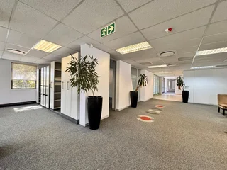 596 sqm Office to Let in Sandton