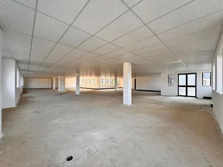 480 sqm Office to Let in Sandton