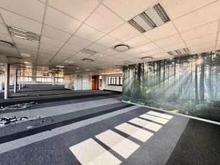 544 sqm Office to Let in Sandton