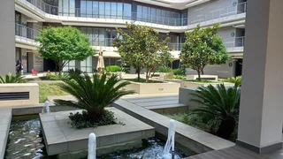 298 sqm office to let Southdowns Ridge Office Park, Irene Centurion