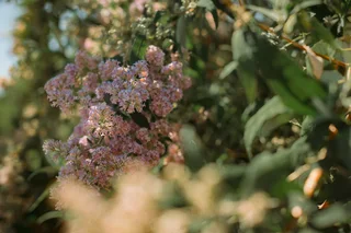 Luxury 3-Bedroom Home for Sale in Stellenbosch | Modern Living at The Meadows