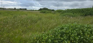 Vacant Land for Sale in Signature Estate – Prime Location with Approved Plans!