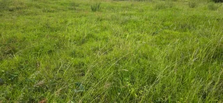 Vacant Land for Sale in Signature Estate – Prime Location with Approved Plans!