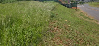 Vacant Land for Sale in Signature Estate – Prime Location with Approved Plans!