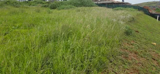 Vacant Land for Sale in Signature Estate – Prime Location with Approved Plans!