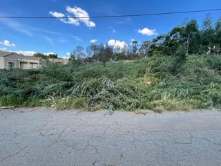 Build with a View – Elevated Ohenimuri Stand