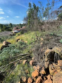 Build with a View – Elevated Ohenimuri Stand