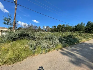 Build with a View – Elevated Ohenimuri Stand