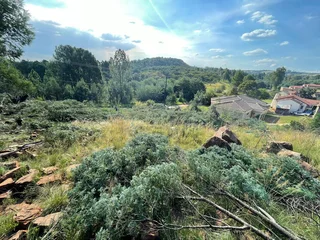 Build with a View – Elevated Ohenimuri Stand