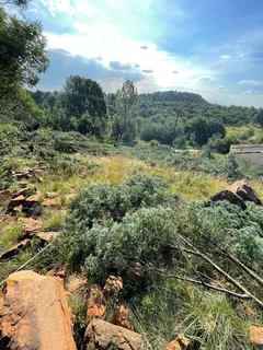 Build with a View – Elevated Ohenimuri Stand