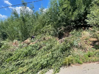 Build with a View – Elevated Ohenimuri Stand