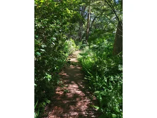 Secure 1-Bedroom Cottage In Avara Estate