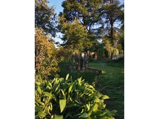 Secure 1-Bedroom Cottage In Avara Estate