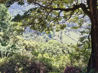 Elevate Your Lifestyle - Breathtaking Mountain Retreat in Magoebaskloof